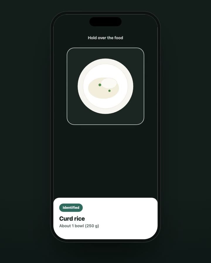 Camera view holding over a bowl, with the result card Identified: Curd rice, about 1 bowl (250 g)