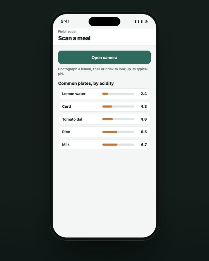 Scan a meal: an Open camera button above a list of common plates by acidity, from lemon water to milk