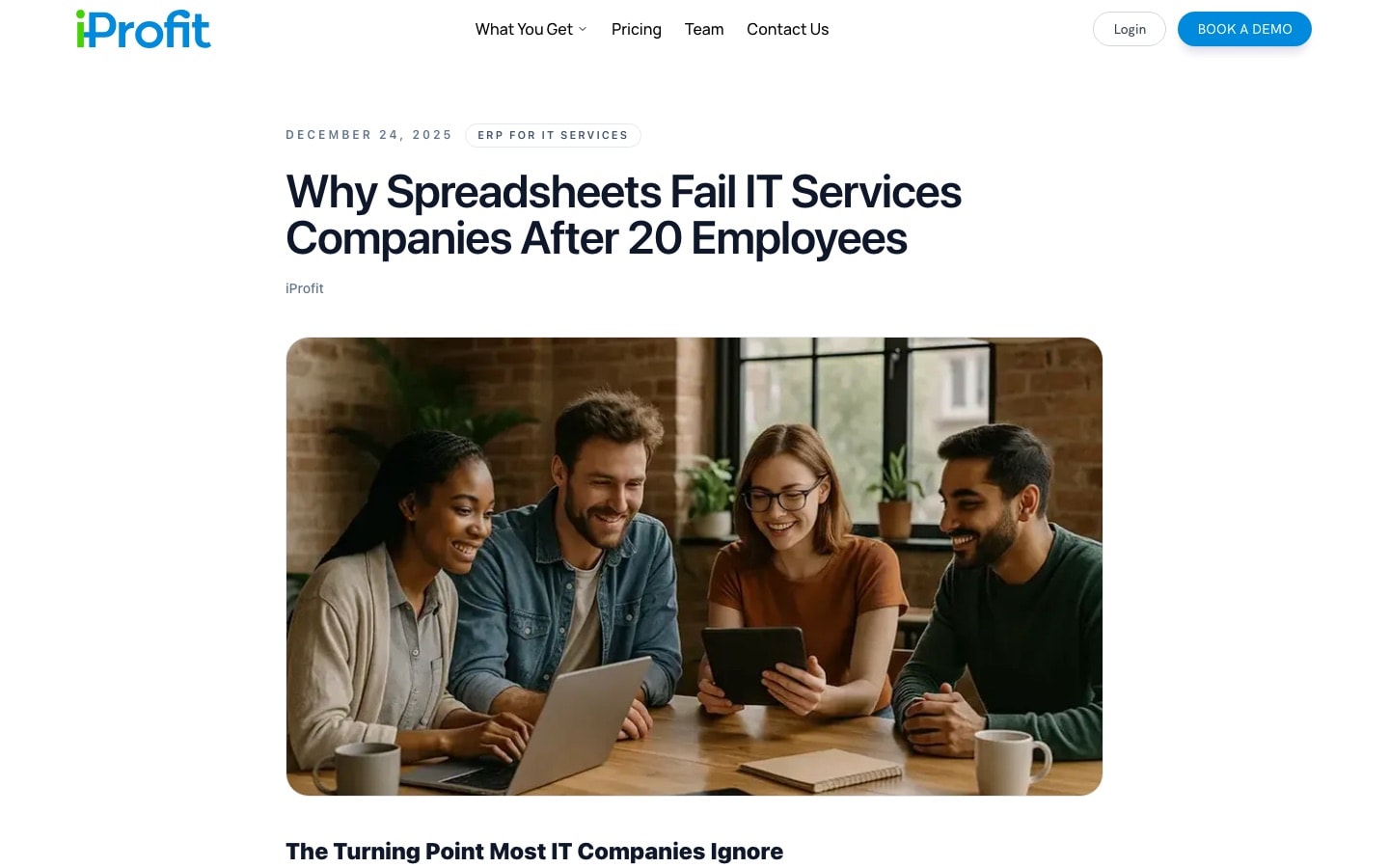iProfit article: Why spreadsheets fail IT services companies after 20 employees
